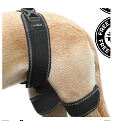 Pet Dog Hip Support Belt Orthotic Device