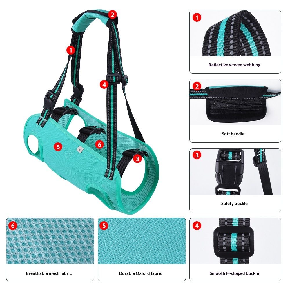 Pet-assisted Rehabilitation Harness For Travel