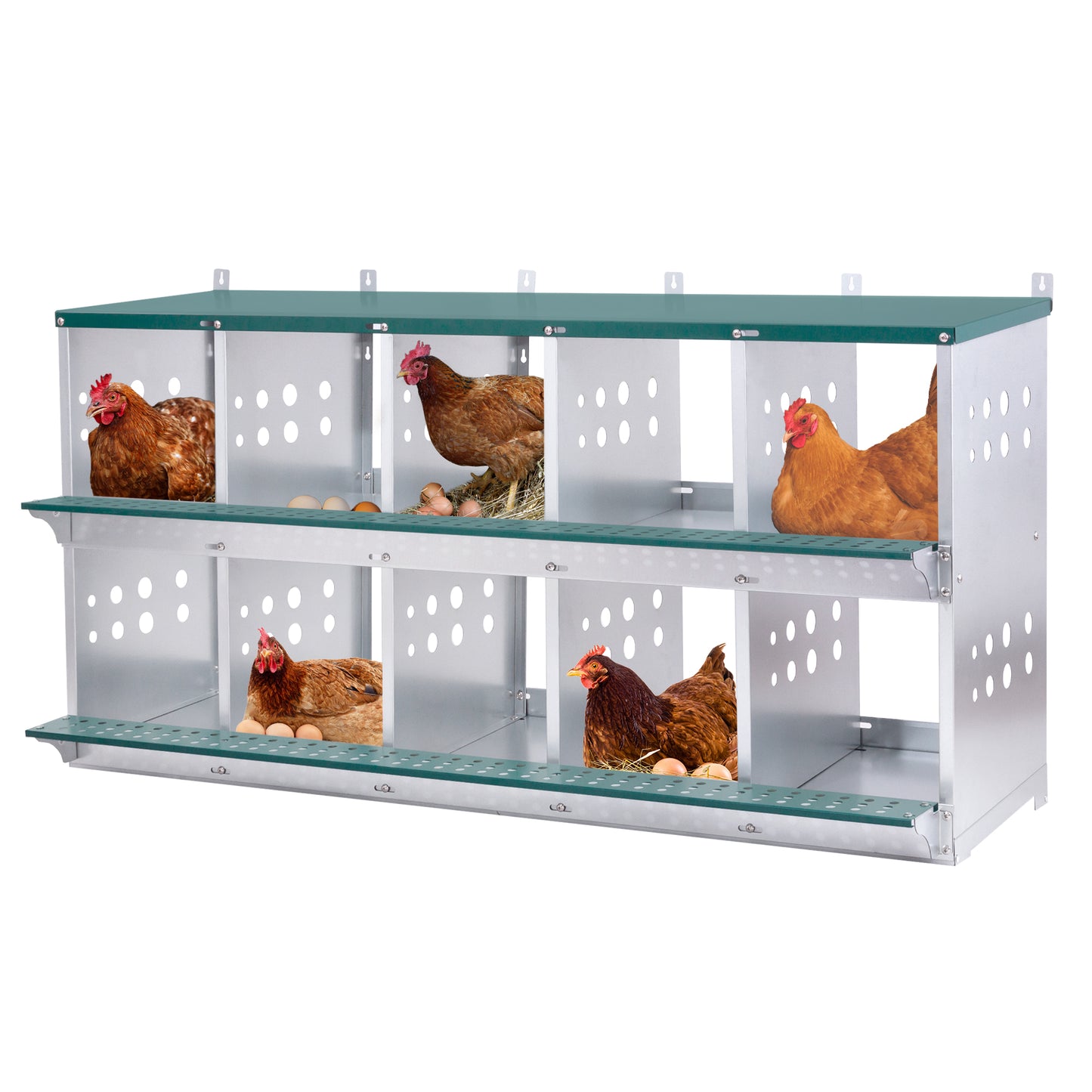 10-Bay Metal Nest Box-Wall Mount For Hens Ducks, Easy Egg  Assembly, Vented Galvanized Steel Coop Equipment Grenn