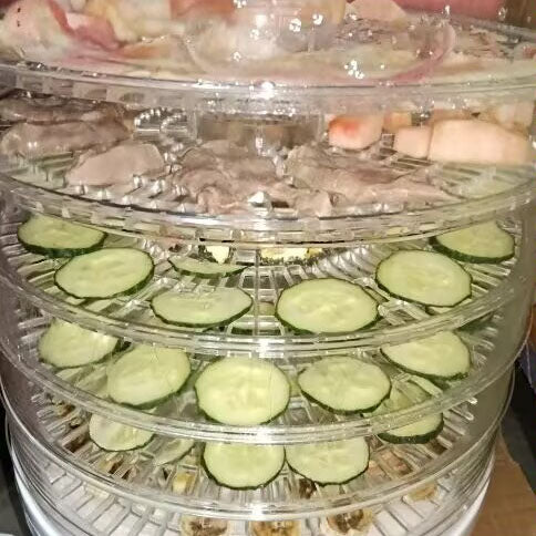 350W Electric Food Dehydrator Fruit Meat Beef Dryer Veg Preserver Machine 5 Tray