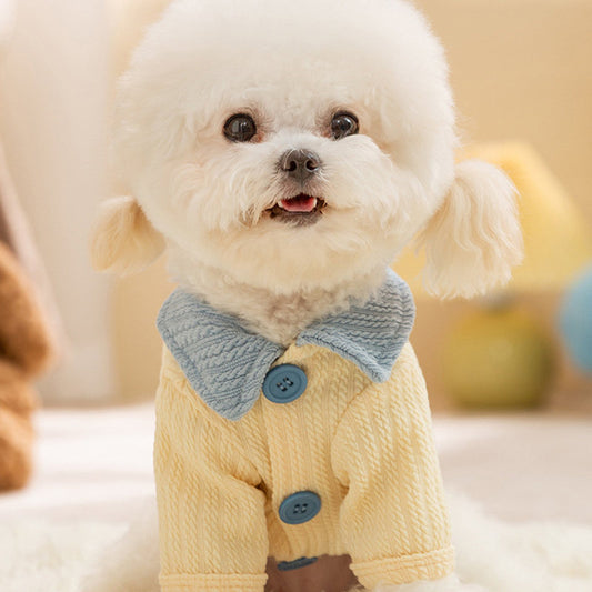 Autumn And Winter Dog, Small And Medium-sized Dog, Cute Puppy, Color-block Base Shirt, Cat Two-legged Shirt, Teddy Pet Dog Clothes