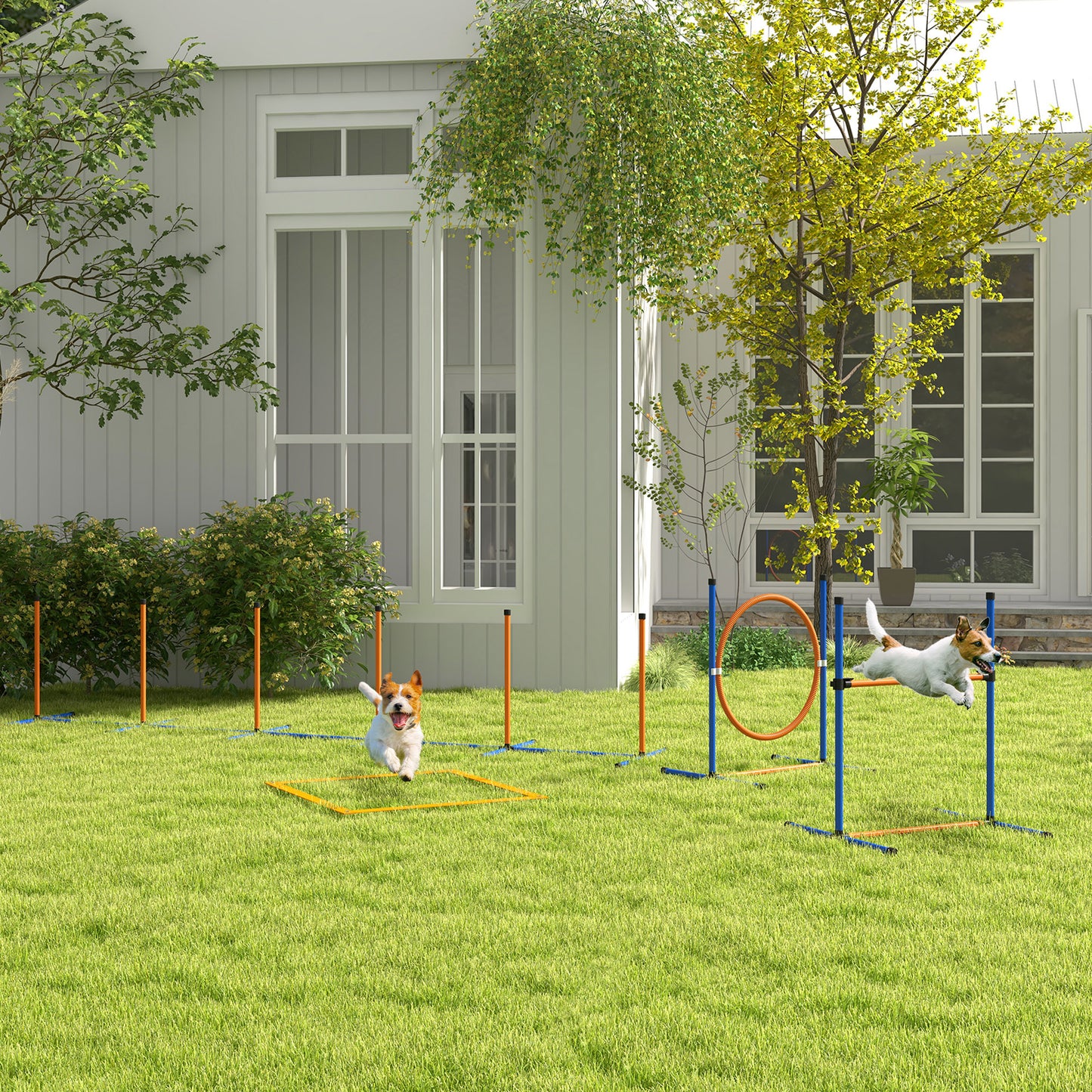 PawHut Dog Agility Training Equipment With Weave Poles, Jump Ring, Pause Box, Adjustable Hurdle, Carry Bag, Orange