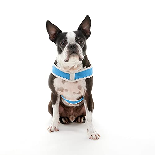 Gooby Simple Step in III Harness - Blue, Small - Small Dog Harness with Scratch Resistant Outer Vest - Soft Inner Mesh Har...