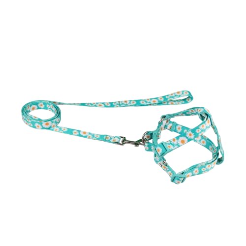 Olahibi Harness and Leash Set, Floral Pattern, 5ft Matching Leash, No Pull, Easy Wear for Small Dogs.(S, Green Daisy)