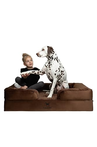 NOAH & PAW XL Dog Bed, 45x35x11 Inch, Orthopedic Large Dog Beds, Eggshell Memory Foam Infused with Cooling Gel, Inner Cove...