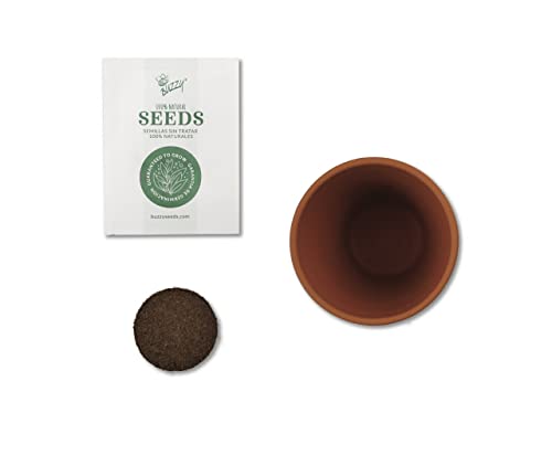 BUZZY Seeds Mini Terracotta Pots 12-Pack with Plant Seeds, Poppy, Sunflower, Daisy, Cactus and Forget Me Not, All-in-One S...