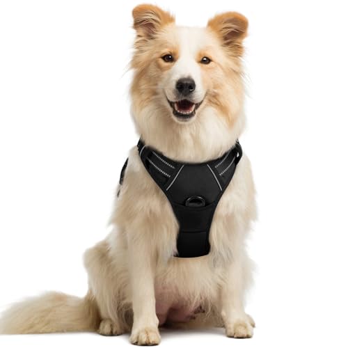 rabbitgoo Dog Harness No Pull with 2 Leash Clips, Adjustable Soft Padded, Reflective Oxford No Choke Pet Vest with Easy Co...