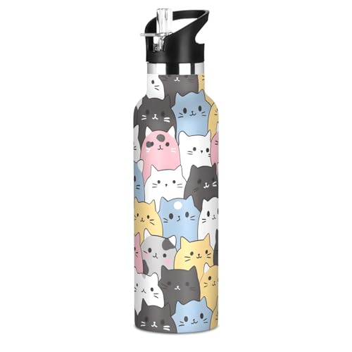 Cats Cute Animal Water Bottles for Boys Kids Stainless Steel Thermos Bottle Cups with Straw Lid Leakproof Insulated Flask ...
