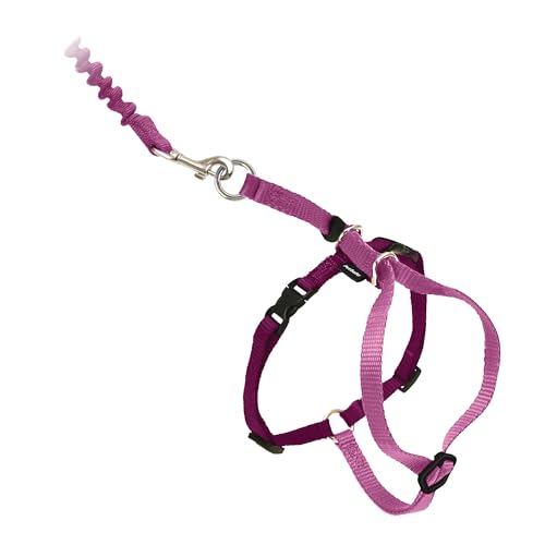 PetSafe Come with Me Kitty Harness and Bungee Leash Adjustable, Lightweight Harness for Cats Large, Dusty Rose