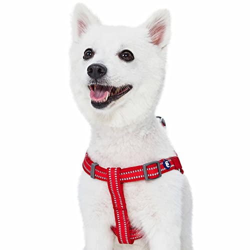 Blueberry Pet Essentials Step-in Reflective Back to Basics Dog Harness, Rouge Red, Chest Girth 16.5" - 21.5", Small, Adjus...