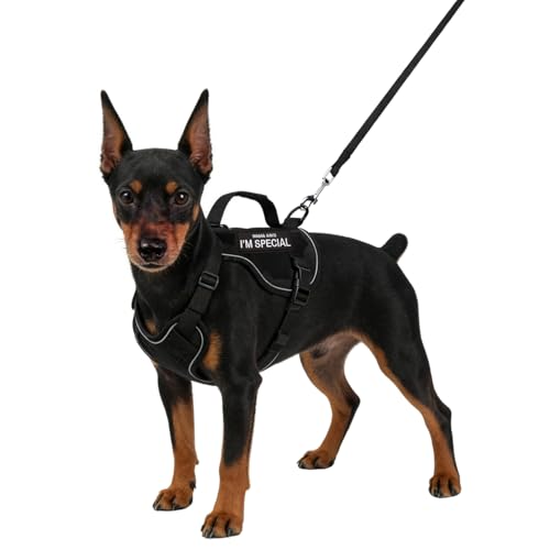 Tactical Dog Harness and Leash Set for Small Dogs - Military Puppy Vest Harness with Patches Vertical Handle Reflective Pe...