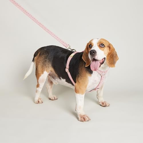 UOSIA Large Dog Harness and Leash Set, Adjustable No Pull Pet Halter Harness with Flower & Metal Buckle, Easy Control for ...