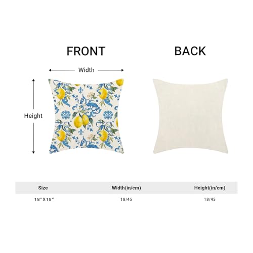 Summer Pillow Covers 18x18 Inch Set of 2 Boho Blue Yellow Lemon Floral Throw Pillows Outdoor Decorative Seasonal Spring Su...