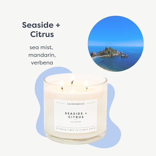 Calyan Wax Co. Seaside & Citrus 3 Wick Scented Candle - 43 Hour Burn - Luxury 3 Wick Soy Candles - Non Toxic Soy Wax Candl...