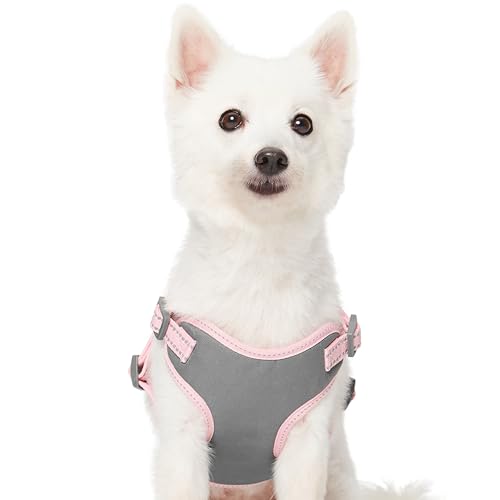 Blueberry Pet Matching Reflective Harness and Leash Set | Adjustable Pastel Vest with Lead for Dogs – Great Value Gift Set...