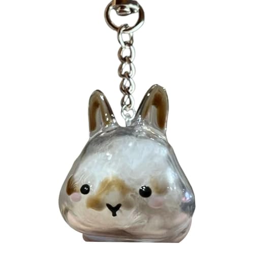 Bunny Fur Keepsake Keychain, Transparent Rabbit Hair Storage Bottle, Pet Hair Container Keychain, Bunny Lover Collecting Gift