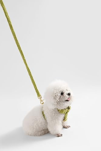THE LICKER Store WLK1001B-4SET Teddy Small Bouclé Adjustable H Harness and Leash Walk Set with Poop Bag Pouch, Citron