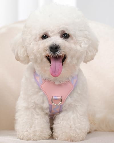 Petank Purple Medium Dog Harness for Medium Dogs, No Pull Dog Harness with 2 Leash Clips, Puppy Harness, Adjustable Dog Ve...