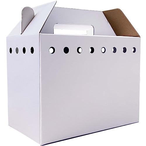 Cardboard Pet Carriers for Small Animals, Hamsters, Gerbils, Birds, Reptiles, Not for Cats or Dogs, Disposable Cardboard P...