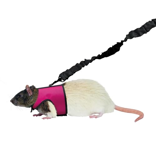 Kaytee Comfort Harness And Stretch Leash Small