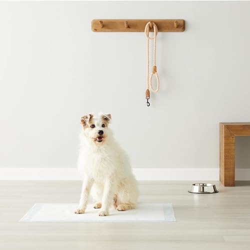 Amazon Basics Leak-Proof Dog and Puppy Potty Training Pee Pads with Quick-Dry 5-Layer Design, X-Large Size 28 x 34 Inch, B...