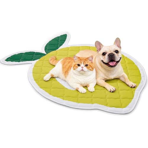 LOOBANI Dog Cooling Mat 38"x50"- Cute Lemon Design Cooling Mat for Dogs (Cool & Warm Side), Waterproof Self-Cooling Mat fo...