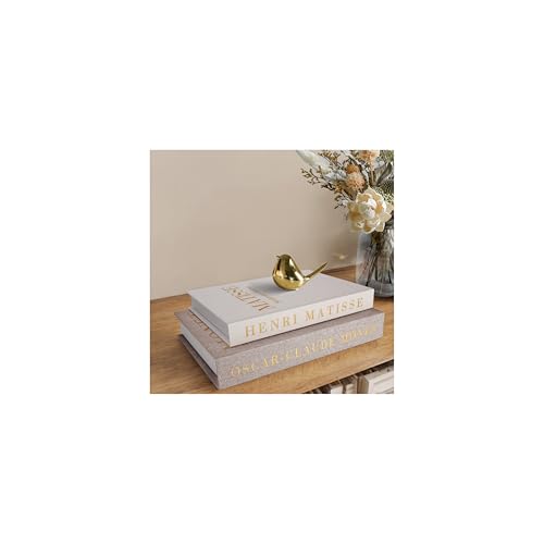 RolenBox Decorative Books for Home Decor, Coffee Table Decor with Linen White Books Stack Bookshelf, Fake Book Double as L...
