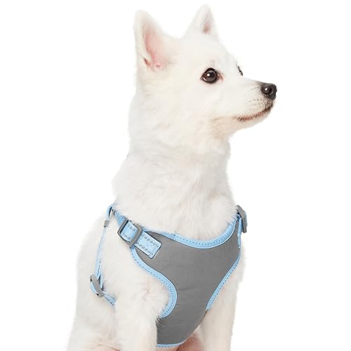 Blueberry Pet Matching Reflective Harness and Leash Set | Adjustable Pastel Vest with Lead for Dogs – Great Value Gift Set...