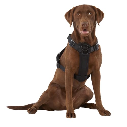 KONG Ultra Durable Waste Bag Harness (Medium, Black)