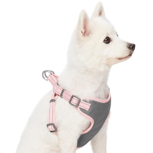 Blueberry Pet Matching Reflective Harness and Leash Set | Adjustable Pastel Vest with Lead for Dogs – Great Value Gift Set...