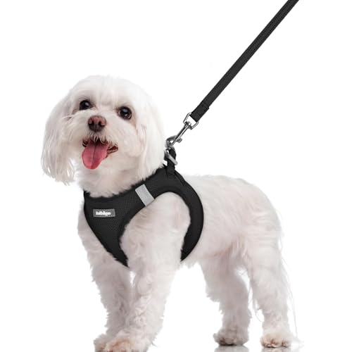 rabbitgoo Dog Harness Small Sized and Leash Set, Step in Soft Light Puppy Vest, Breathable Mesh Pet Harness, Reflective fo...