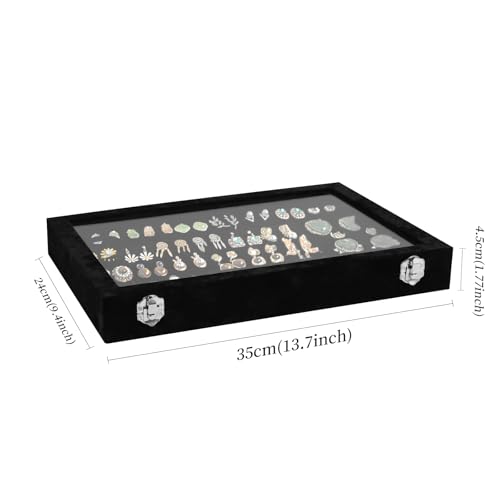 Wudygirl Earring Organizer Tray Jewelry Organizer 32 Pairs Earring Box Organizer Black Velvet Jewelry Display Case with Tr...