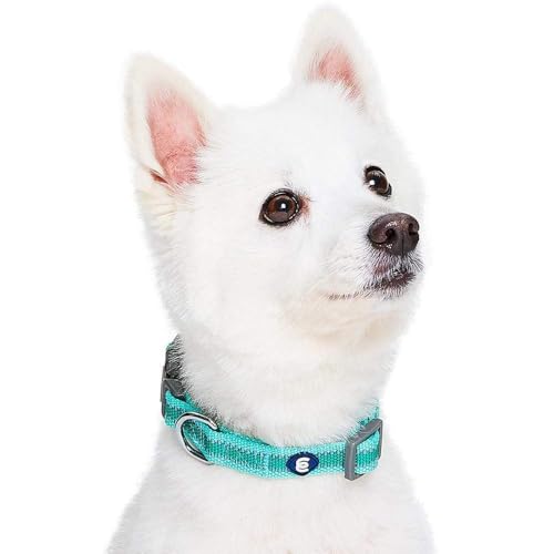 Blueberry Pet Essentials Matching Large Dog Collar | Adjustable Classic Solid Color Nylon Dog Collars for Large Dogs | Ref...