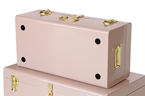 Vixdonos Decorative Metal Box Storage Trunks Set of 2 College Dorm Chest with Handle (Pink)