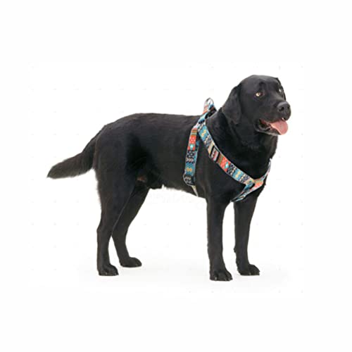 Dog Harness and Leash Set, Pretty Pattern No-Pull Pet Halter Puppy Vest Outdoor Easy Walk for Small Medium Large Breed Pug...