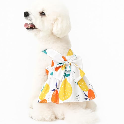 Small Dog Harness Dress Cat Princess Dresses Summer Lemon Clothes for Pet Female Puppy Outfit Cute Bow Tie Leash Set for S...