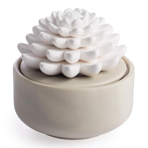Airomé White Succulent, Porcelain Passive Essential Oil Diffuser (with 15ml Peppermint Essential Oil) – Non-Electric, Batt...