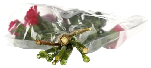 Floral Happiness Bouquet, 1 Ea