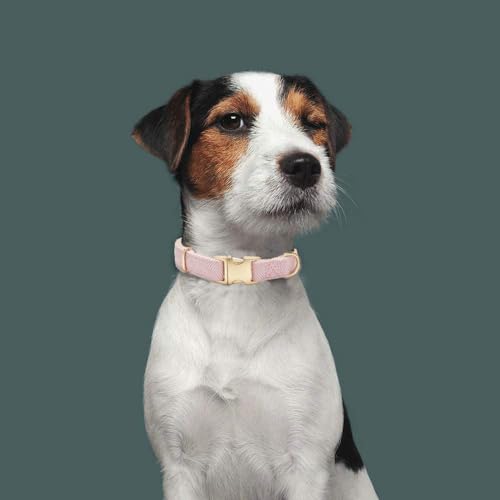 Ewinoom Soft Dog Collar and Leash Set Adjustable Woven Tweed Dog Collars with Metal Buckle and Lead for Small Medium Large...