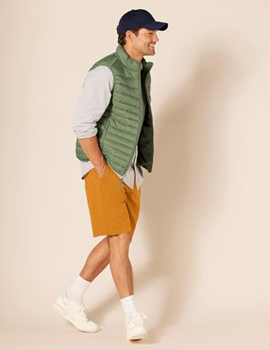 Amazon Essentials Men's Classic-Fit 9" Chino Shorts