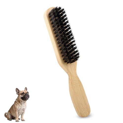 Soft Boar Bristle Dog Brush for Short Haired Dogs - Made of Wood, Gentle Deshedding & Grooming Tool, Ideal Dog Hair Brush ...