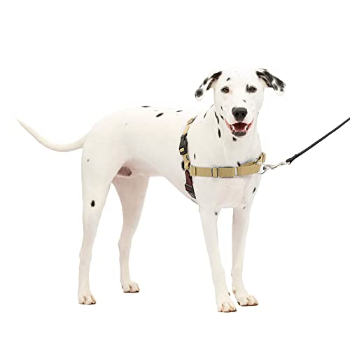 PetSafe Easy Walk Harness for Dogs - Pull-Free Walks - Patented Martingale Loop Design - Front Chest Leash Attachment - Co...