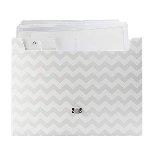 Pearhead Baby Briefcase and Document Organizer, All In One Expanding File Folder, Baby's Paperwork and Records, Newborn Ke...