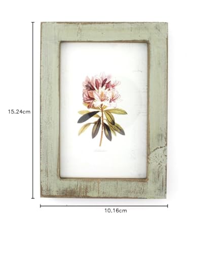 Zhenzan Frames 4x6 Inches Simple Rectangular Desktop Family Picture Photo Frame with Glass Front (Green)