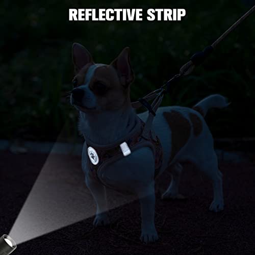 BEAUTYZOO Step in Dog Harness and Leash Set, Floral Pattern Reflective Dog Harness No Pull No Choke Puppy Harness for XXS ...