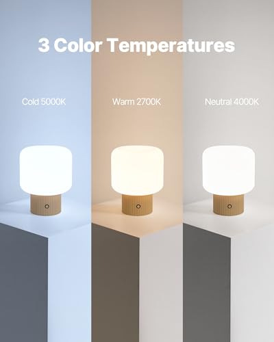 MAGCHARM Halo Mushroom Lamp, 5W Cute Cordless Rechargeable Table Lamp with Glass Shade, 3 Color Temps LED Dimmable Ambient...
