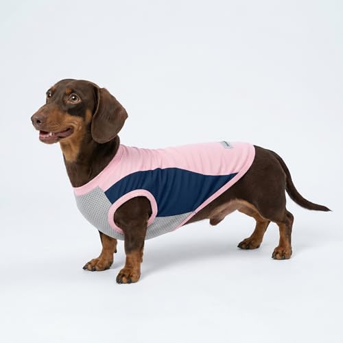 Fitwarm 2 Pack UPF 50+ UV Sun Protection Dog Shirt, Lightweight Breathable Cooling Vest, Quick Dry Dog Summer Clothes for ...