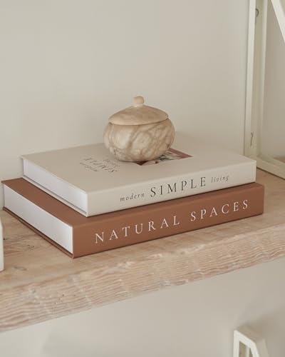 Beautiful Decorative Books - Set of 2 Boxes Enhance Your Coffee Table, Bookshelf or Mantel Shelf Decor - Aesthetic Fake/Fa...