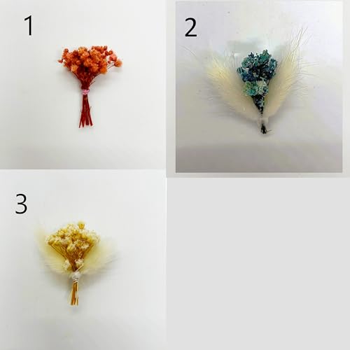 Graduation Party Favors for Guests Personalized Resin-Floral Magnets Class of 2026 Decorations, Graduation Thank You Cards...