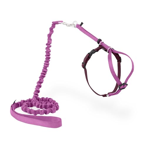 PetSafe Come With Me Kitty Cat Harness & Bungee Leash - Comfortable Cat Harness with Lightweight Bungee Leash for Outdoor ...